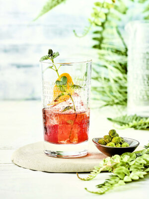 The Botanist Negroni