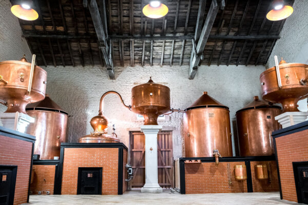 Distillerie de Bonbonnet