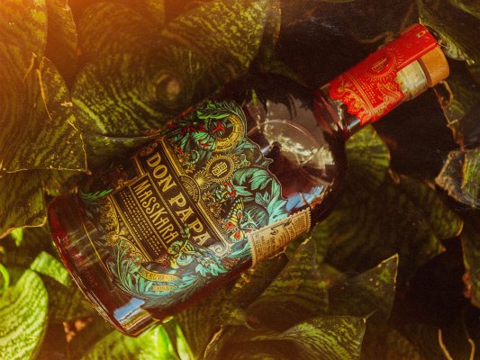 Don Papa MassKara