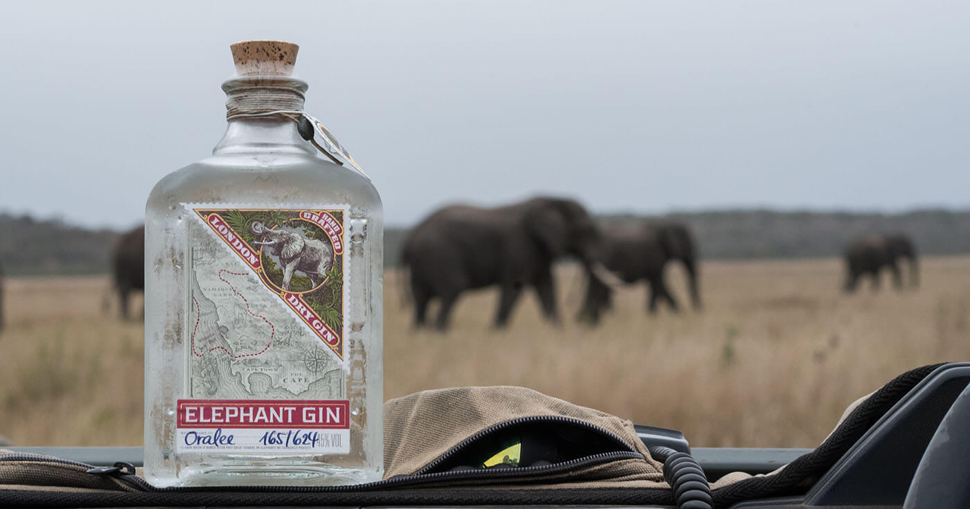 Wildtierschutz: Elephant Gin verkündet Gründung der Elephant Gin Foundation