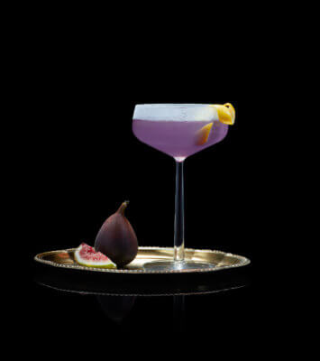 Fig Sidecar Fig Sidecar