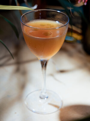 Apricot