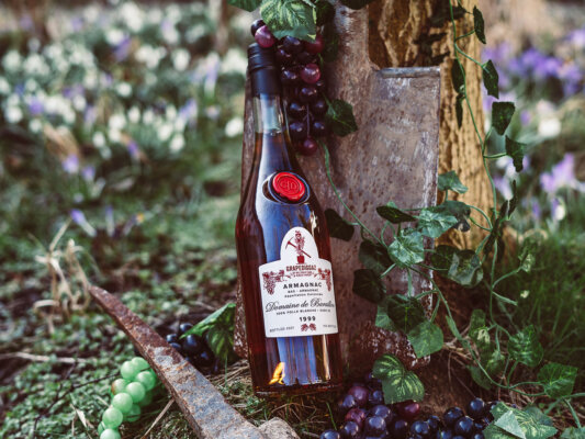 GrapeDiggaz Domaine de Baraillon 1999
