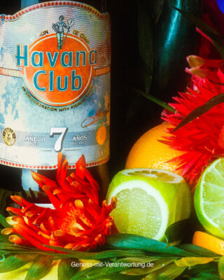 Havana Club x Pigalle