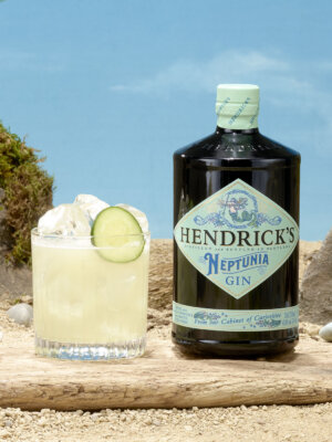 Neptunia Curious Cucumber Margarita