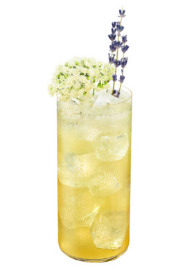 Johnnie & Elderflower