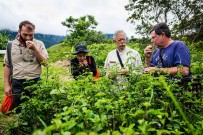 Master Distiller Lesley Gracie findet neues Gin-Botanical im Regenwald