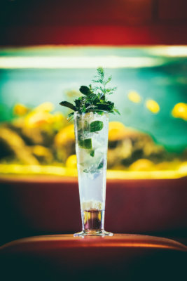 Nordic Mojito