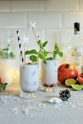 Winter Mojito