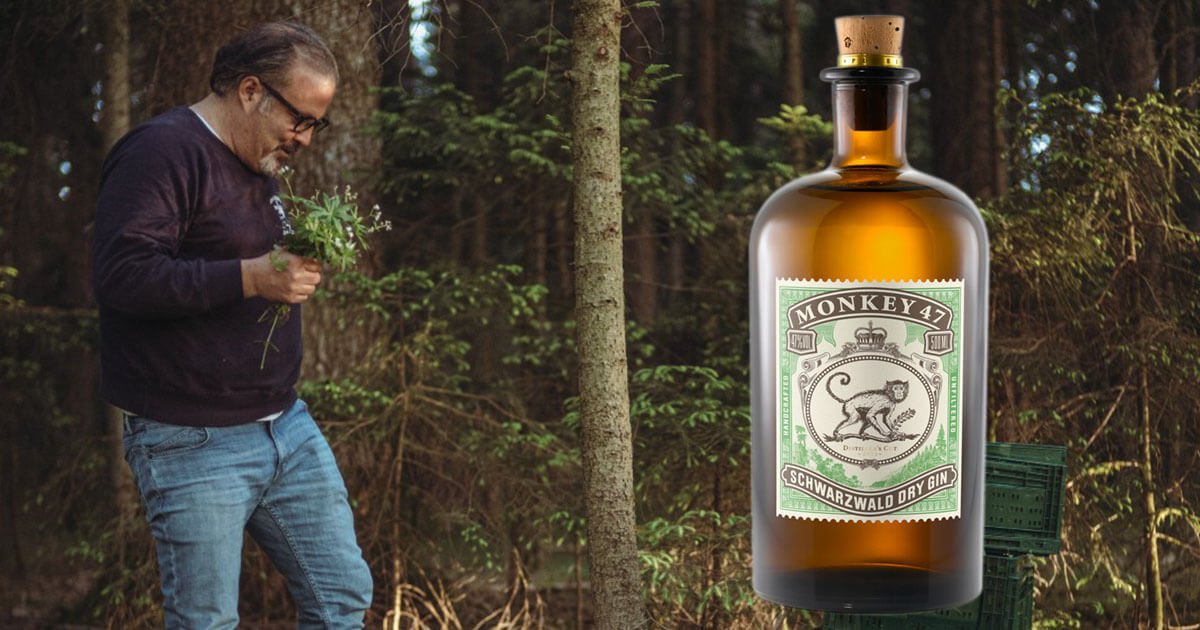 Waldmeister: Black Forest Distillers stellen Monkey 47 Distiller’s Cut 2022 vor