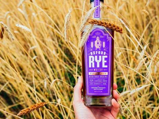 Oxford Rye Purple Grain