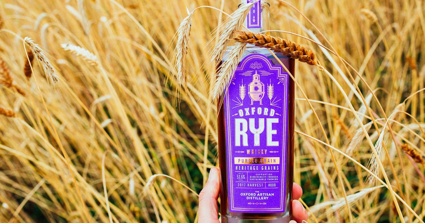 Oxford Rye: The Oxford Artisan Distillery feiert Jubiläum mit „Purple Grain“