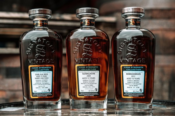 Signatory Vintage Cask Strength Collection