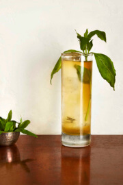 Singleton und grüner Tee mit Thai-Basilikum