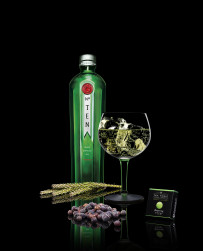 Gin Tonic & Tea Trend mit Tanqueray No. TEN