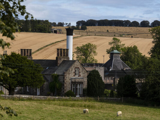 The GlenDronach Distillery