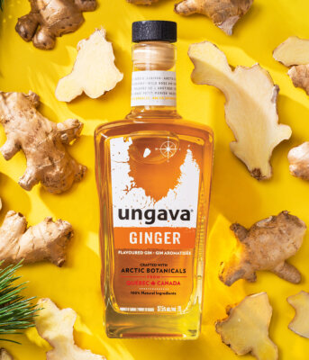 Ungava Ginger