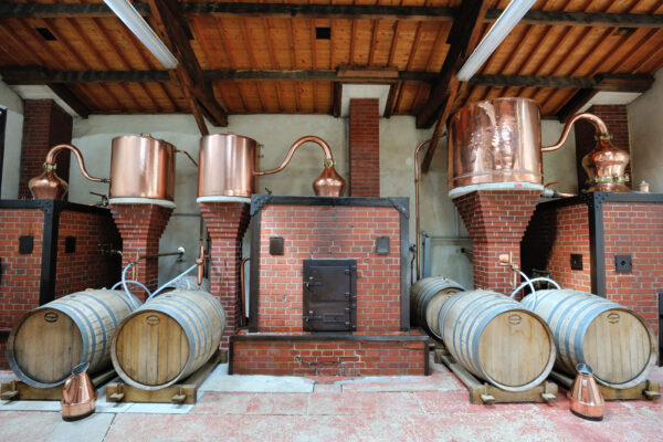 Brennkessel Brennkessel