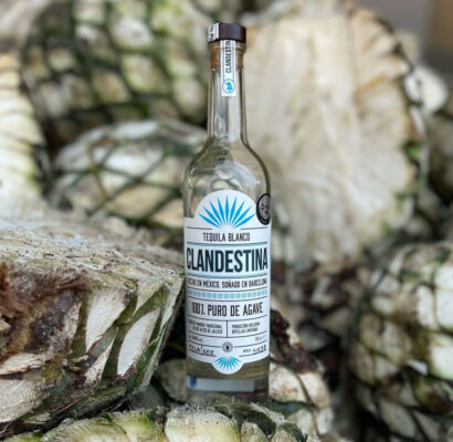 eine Flasche Clandestina Blanco steht auf Agavenherzen
