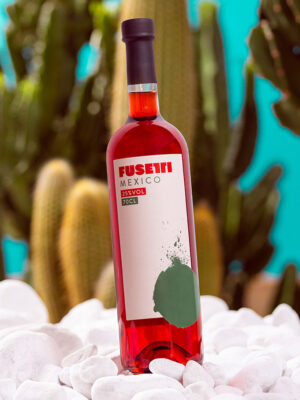 eine Flasche Fusetti Mexico steckt in weißen Kieseln. Im Hintergrund sind Kakteen