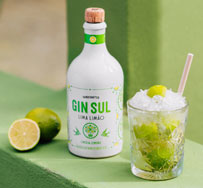 „Caipi do Sul“ und Co.: Vier Drinkrezepte mit Gin Sul Lima Limão