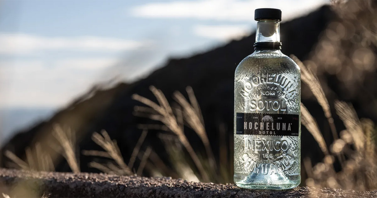Lenny Kravitz‘ Marke: JACoBI Spirits holt Nocheluna Sotol nach Deutschland Lenny Kravitz‘ Marke: JACoBI Spirits holt Nocheluna Sotol nach Deutschland