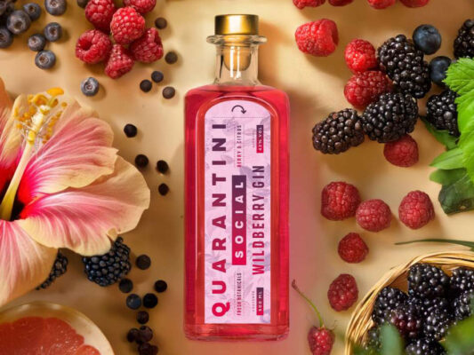 Quarantini Wildberry Gin