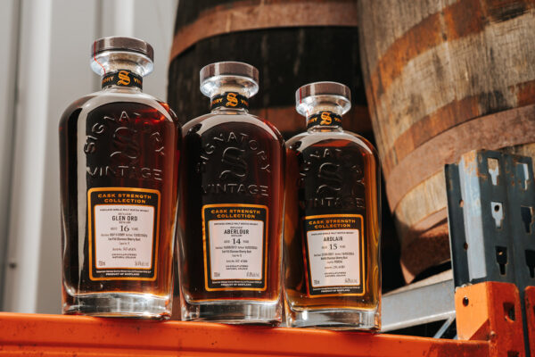 Signatory Vintage Cask Strength Collection drei Flaschen Whisky stehen auf einem Regal, im Hintergrund Holzfässer