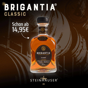 Steinhauser Brigantia