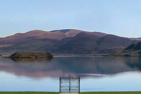 Wayward Irish Spirits Wayward Irish Spirits