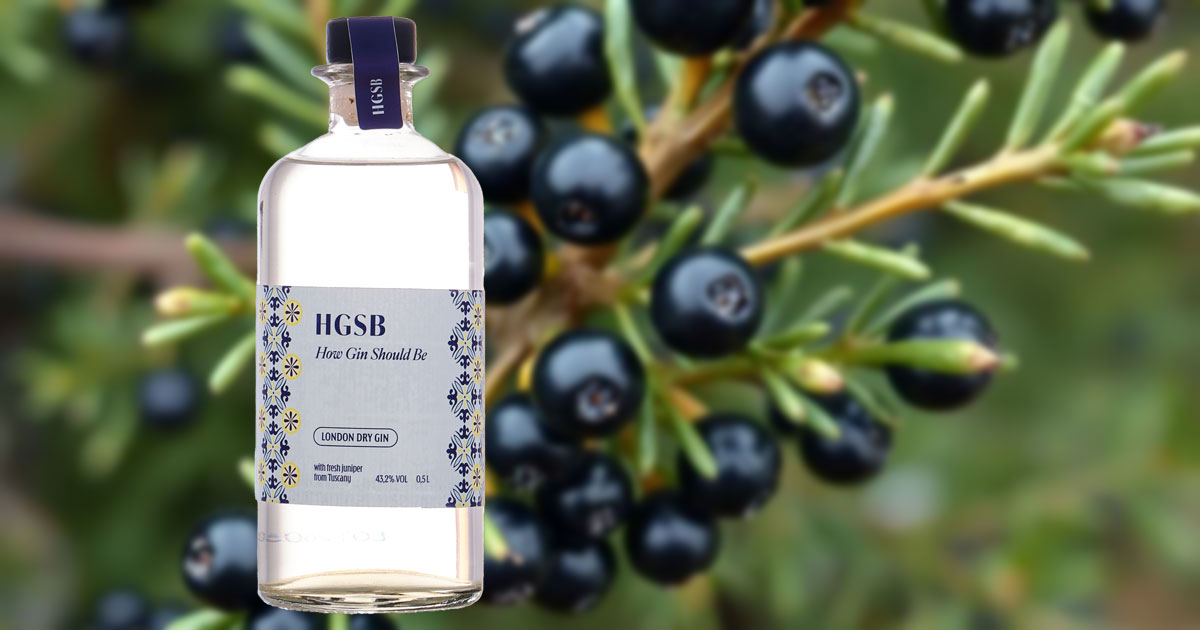 „How Gin Should Be“: Wagemut bringt HGSB London Dry Gin dauerhaft zurück