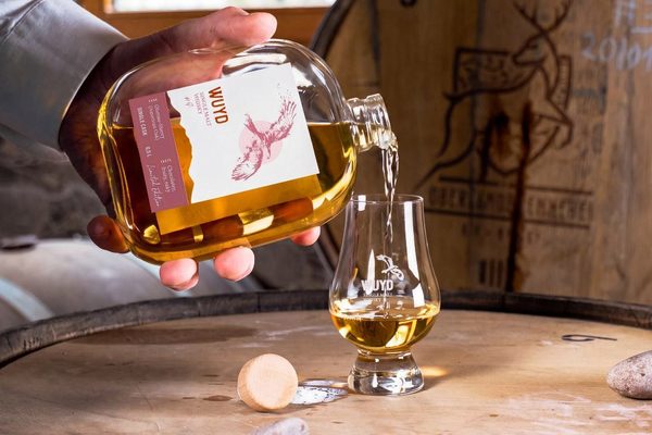 Wuyd Single Malt Batch #4 der Wuyd Single Malt Batch #4 wird in ein Glas ausgeschenkt, drumherum Holzfässer